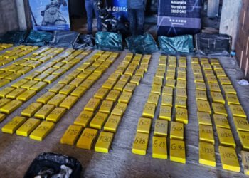 500 kilos de cocaína secuestradas en Jujuy
