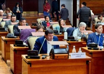 Diputados radicales denuncian que Nación quiere apropiarse de recursos