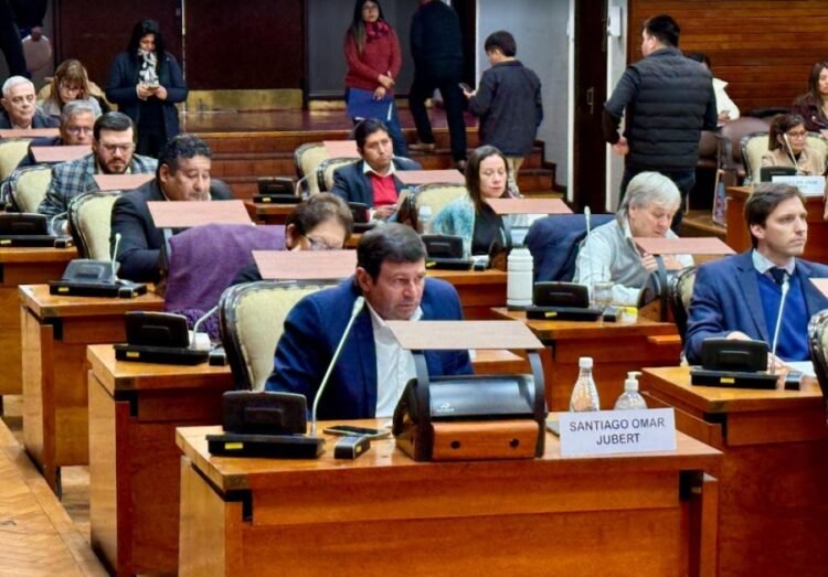 Diputados radicales denuncian que Nación quiere apropiarse de recursos