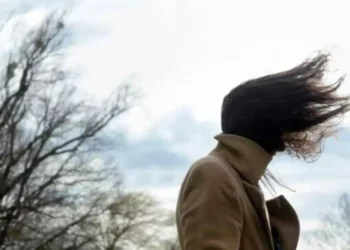 Alerta amarilla en Jujuy por vientos fuertes