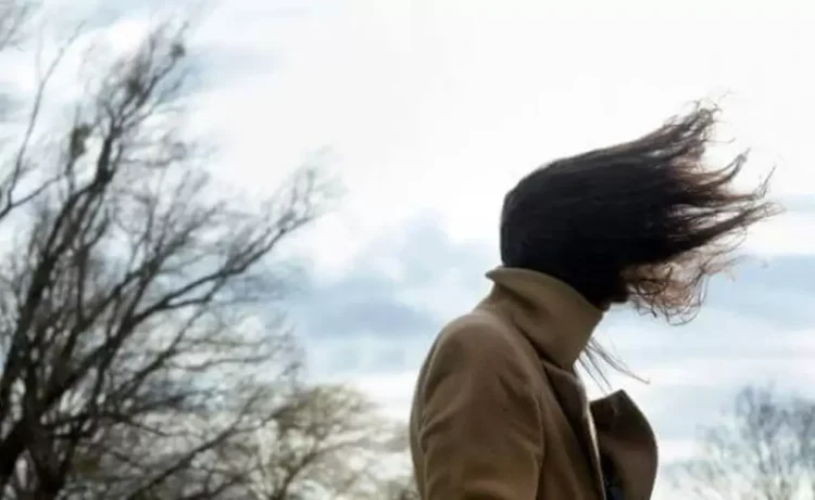 Alerta amarilla en Jujuy por vientos fuertes