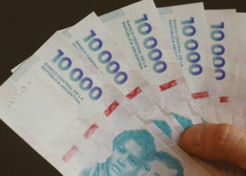 Tasas al 56%: cuánto ganas si invertís 100 mil pesos al mes