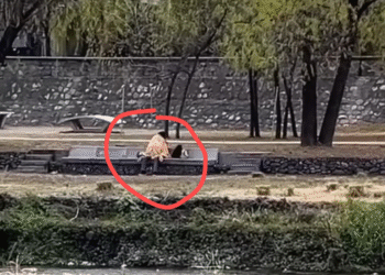 Lo que debía ser una salida tranquila termino siendo una función erótica en el Parque Lineal