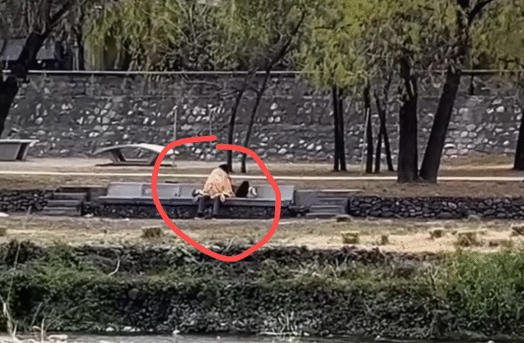 Lo que debía ser una salida tranquila termino siendo una función erótica en el Parque Lineal