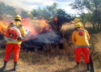 Riesgo extremo de incendios forestales por altas temperaturas y viento zonda