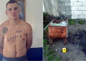 Nuevos hallazgos escalofriantes en Alto Comedero