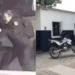 Escándalo en comisaría de Rodeito: Sancionarán a Policías Involucrados en Pelea