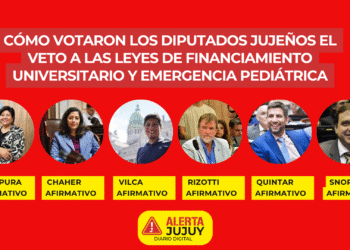 Cómo votaron los diputados jujeños el veto a las leyes de financiamiento universitario y emergencia pediátrica