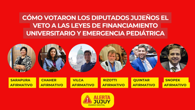 Cómo votaron los diputados jujeños el veto a las leyes de financiamiento universitario y emergencia pediátrica