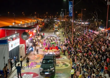 FNE: Último desfile con los dos grupos de carrozas y carruajes