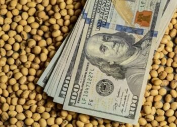 El Gobierno Nacional quita las retenciones a los granos para aumentar el ingreso de dólares