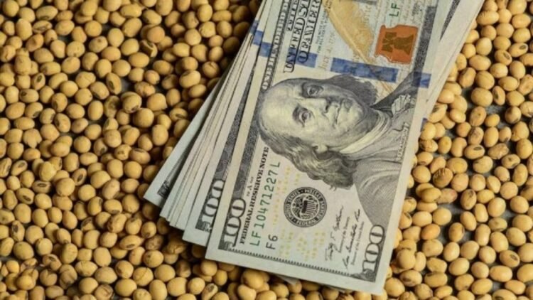El Gobierno Nacional quita las retenciones a los granos para aumentar el ingreso de dólares