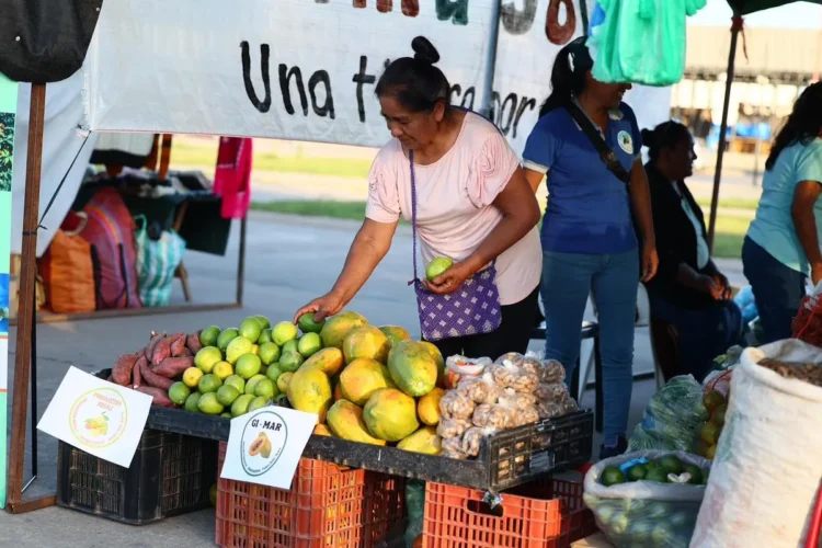 Nueva edición de la Feria Campesina Pucará en la Vieja Estación de Jujuy