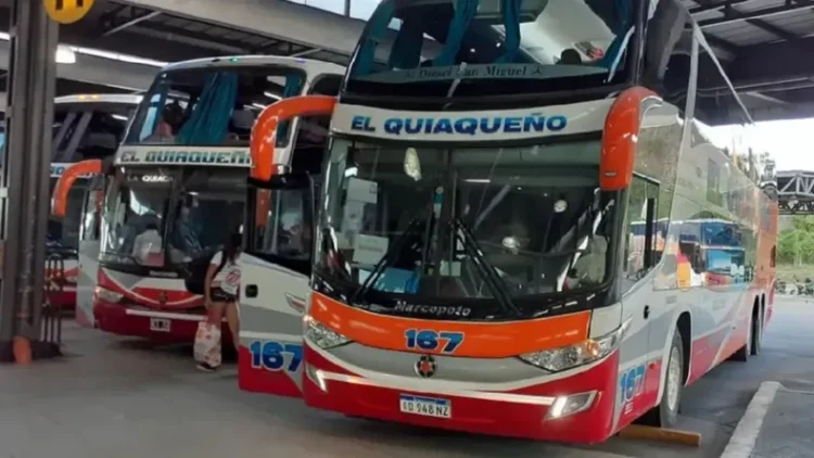 Este domingo el transporte interurbano será gratuito en Jujuy