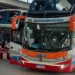 Este domingo el transporte interurbano será gratuito en Jujuy