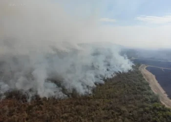Más de 70 brigadistas combaten incendio forestal cerca del Parque Nacional Calilegua