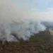 Más de 70 brigadistas combaten incendio forestal cerca del Parque Nacional Calilegua