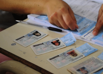 Jujuy superó el promedio nacional de participación electoral con un 70,62%