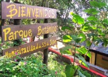 El Parque Botánico de Jujuy invita a una caminata nocturna gratuita por la «Noche de los Museos»