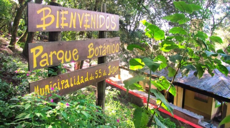 El Parque Botánico de Jujuy invita a una caminata nocturna gratuita por la «Noche de los Museos»