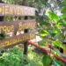 El Parque Botánico de Jujuy invita a una caminata nocturna gratuita por la «Noche de los Museos»