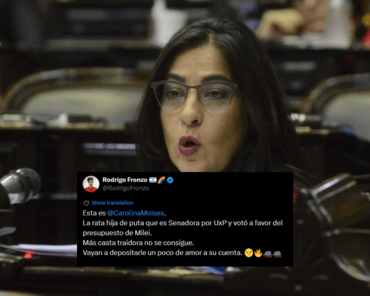 Influencers y periodistas K mandaron a escrachar a Carolina Moisés tras votar el Presupuesto