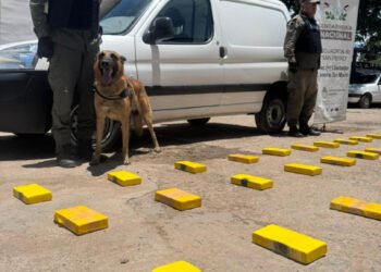 Golpe al Narcotráfico en Jujuy: Gendarmería decomisó más de 52 Kilos de Cocaína en Ledesma