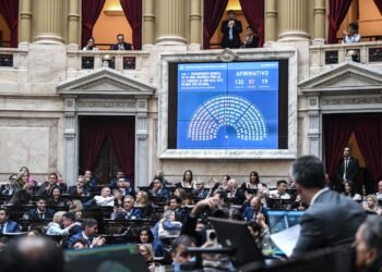 Presupuesto 2026: Zigarán y Rizzotti votaron junto el kirchnerismo