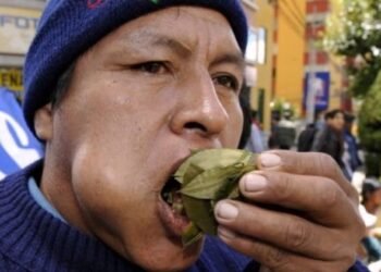 ¿Alto acullico? Secuestran casi una tonelada de hojas de coca