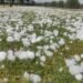 A cuidar el auto: hoy caería granizo en la provincia