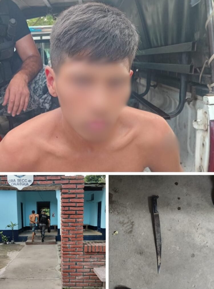 Quiso machetear a un policía y terminó preso