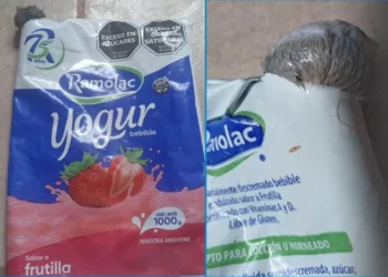 Nuevo miedo desbloqueado: Encontró una rata en el sachet de yogurt