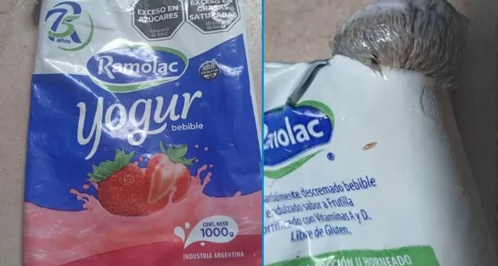 Nuevo miedo desbloqueado: Encontró una rata en el sachet de yogurt