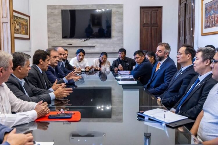 Litio en Jujuy: La empresa CNGR presentó un megaproyecto para adherir al RIGI