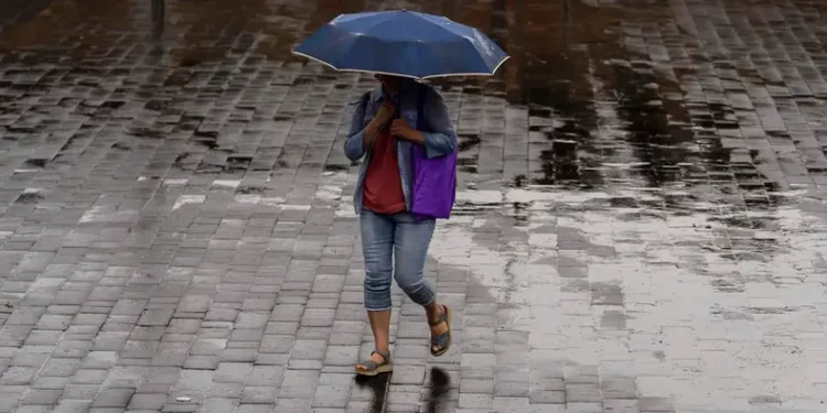 Volvió la lluvia a Jujuy: El pronóstico para los próximos días