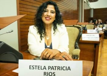ENOJADÍSIMA: Diputada Radical cuestionó a los libertarios por las críticas al Gobierno provincial