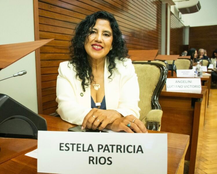 ENOJADÍSIMA: Diputada Radical cuestionó a los libertarios por las críticas al Gobierno provincial