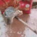 Perico: Una mujer encontró una rata en una leche y sufrió maltrato en Defensa del Consumidor