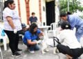 San Salvador celebra la Semana del Animal con operativos  gratuitos para mascotas