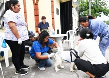San Salvador celebra la Semana del Animal con operativos  gratuitos para mascotas