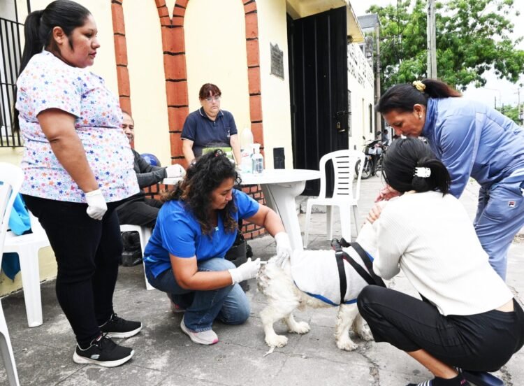 San Salvador celebra la Semana del Animal con operativos  gratuitos para mascotas