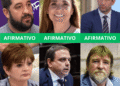 Zona Fría: Zigarán votó como los libertarios, mientras que Snopek y Rizzotti pegaron el faltazo
