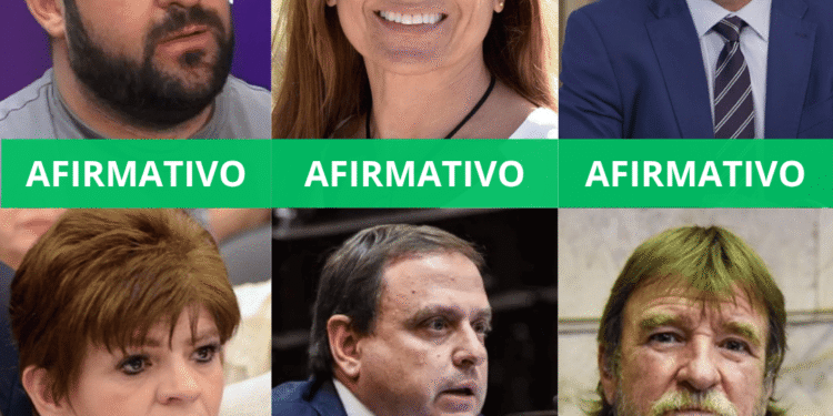 Zona Fría: Zigarán votó como los libertarios, mientras que Snopek y Rizzotti pegaron el faltazo