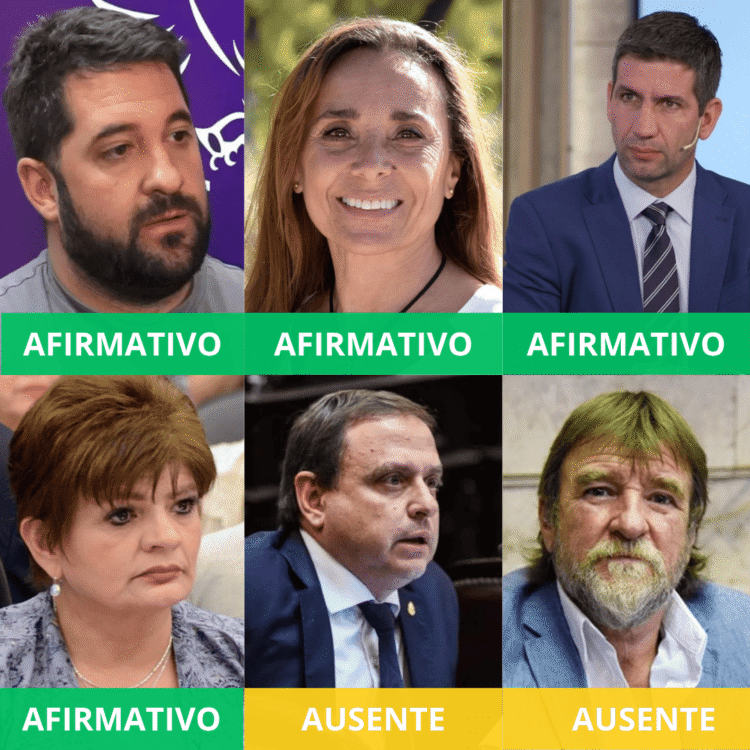 Zona Fría: Zigarán votó como los libertarios, mientras que Snopek y Rizzotti pegaron el faltazo