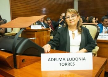 Diputada radical cuestionó la falta de cobertura médica del PAMI