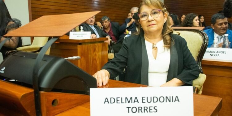 Diputada radical cuestionó la falta de cobertura médica del PAMI