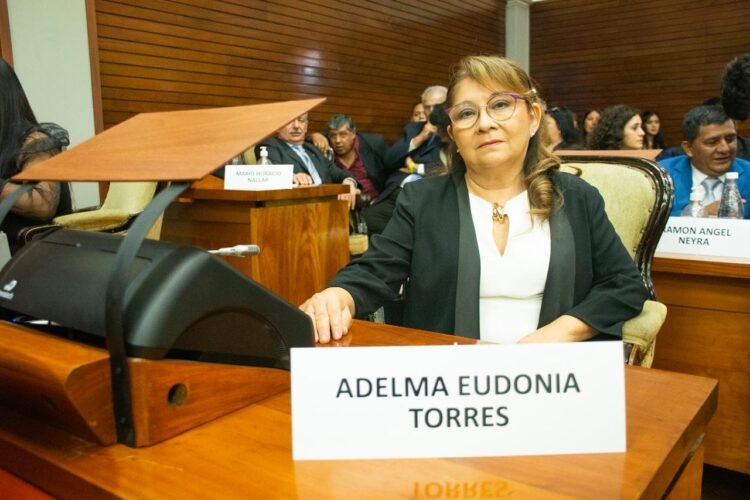 Diputada radical cuestionó la falta de cobertura médica del PAMI