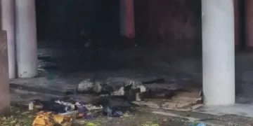 Dos detenidos por el incendio en el Estadio Federación de Básquet