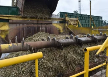 El Ingenio Ledesma inauguró oficialmente su zafra productiva número 118