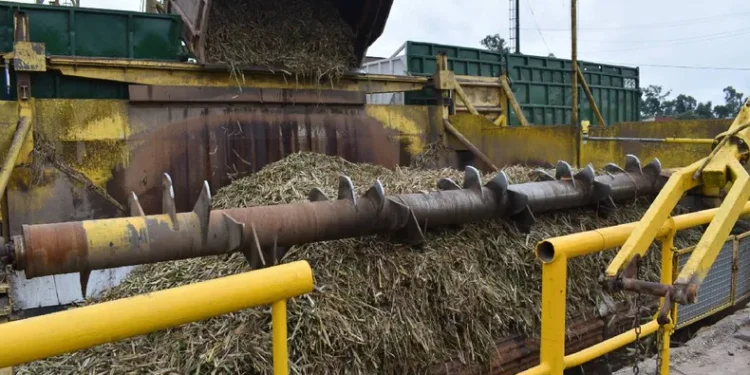 El Ingenio Ledesma inauguró oficialmente su zafra productiva número 118